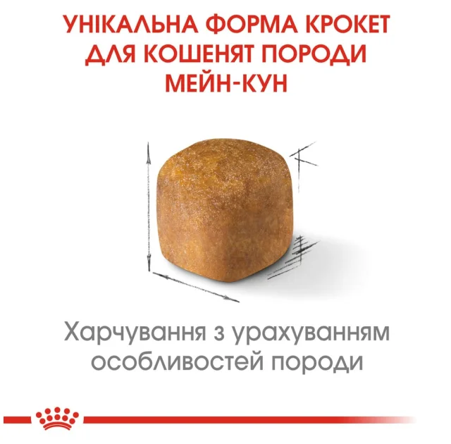 Сухий корм Royal Canin Maine Coon Kitten для кошенят мейн-кунів до 15 місяців, 2 кг